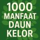 1000 Manfaat Daun Kelor: Keajaiban Alam dalam Setiap Lembarnya