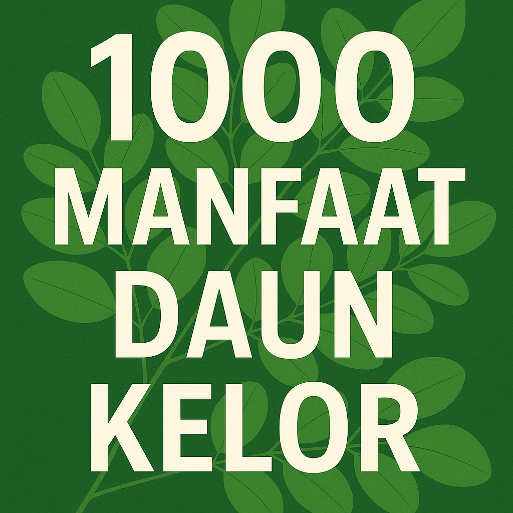1000 Manfaat Daun Kelor: Keajaiban Alam dalam Setiap Lembarnya