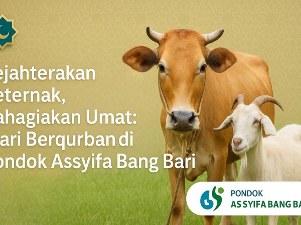 Sejahterakan Peternak, Bahagiakan Umat: Mari Berqurban di Pondok Assyifa Bang Bari