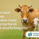 Sejahterakan Peternak, Bahagiakan Umat: Mari Berqurban di Pondok Assyifa Bang Bari