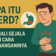 GERD: Mengenal Penyakit Refluks Asam Lambung dan Cara Menanganinya