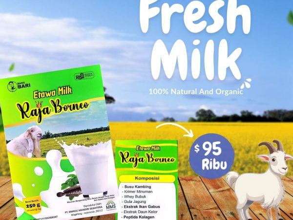 Manfaat Susu Kambing bagi Kesehatan: Alternatif Bergizi dalam Konsumsi Susu