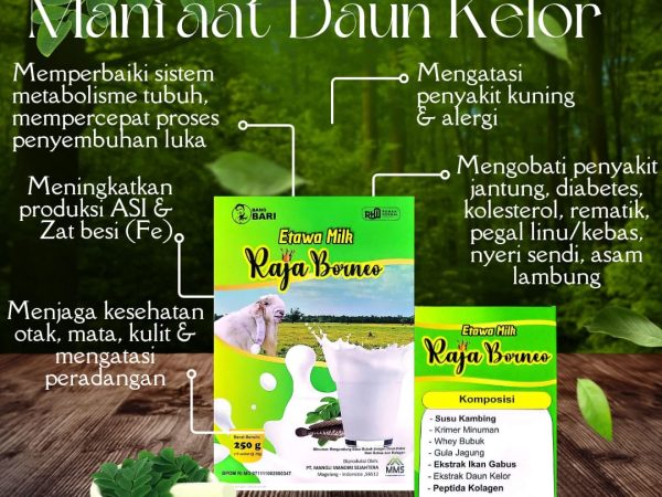 Daun Kelor: Tanaman Ajaib dengan Segudang Manfaat