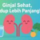 Ginjal Sehat, Hidup Lebih Panjang