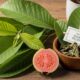 Inilah 5 Herbal Alami untuk Mengatasi Diare