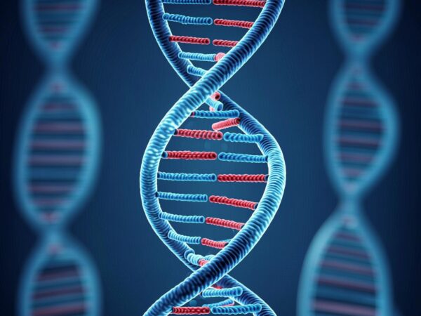 Mengungkap Misteri: Komponen DNA yang Tersusun atas Fosfat, Gula, dan Basa Nitrogen Membentuk Nukleotida