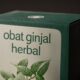 Rekomendasi Obat Ginjal Herbal Terbaik dan Aman