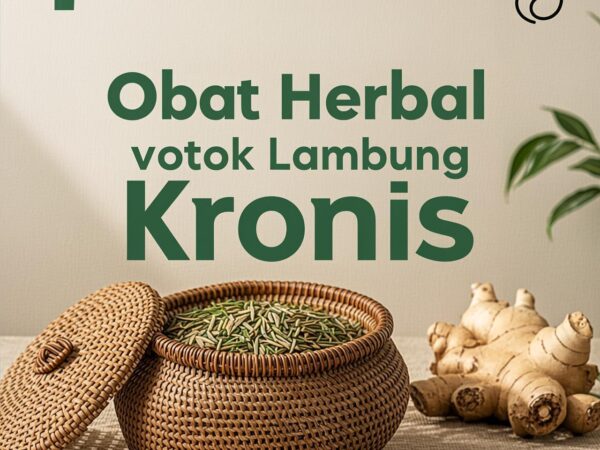 Obat Herbal untuk Lambung Kronis
