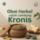 Obat Herbal untuk Lambung Kronis