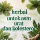 Ini Dia Solusi Alami Terampuh Herbal untuk Asam Urat dan Kolesterol