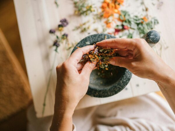 Terapi Obat Herbal Selamatkan Nyawa Pak Budi: Kisah Inspiratif